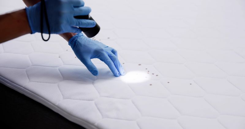 Flea Control Service Cost — Cost of Flea Control Service