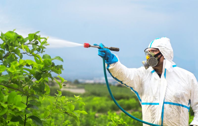 Roach Fumigation in West Palm Beach, FL