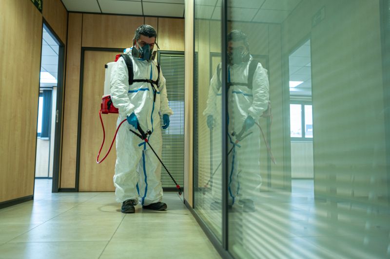 Spider Fumigation Service in Santa Fe, NM