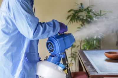Fumigation Service in San Jose, CA