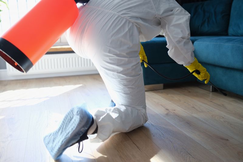Rat Fumigation Service in San Antonio, TX