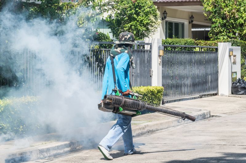 Spider Fumigation Service in San Antonio, TX